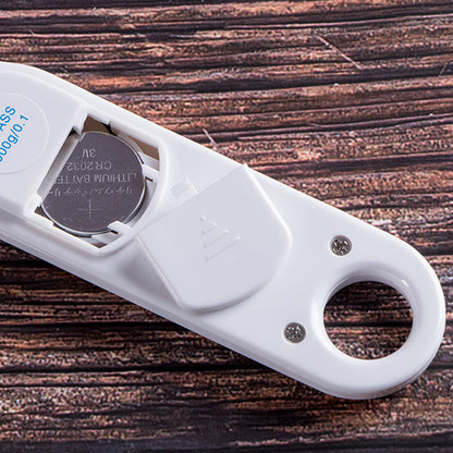 Factory Direct Digital Spoon Scale – 500g/0.1g Food & Ingredient Measuring Scale