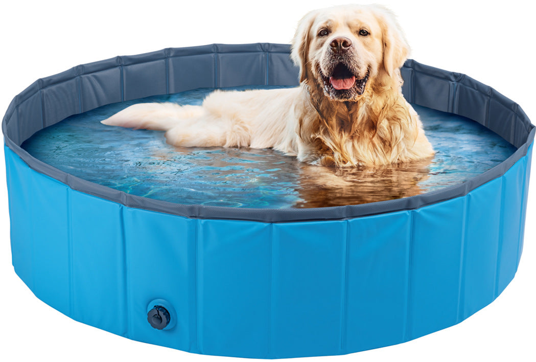 Dog lying in a blue foldable pool on a white background
