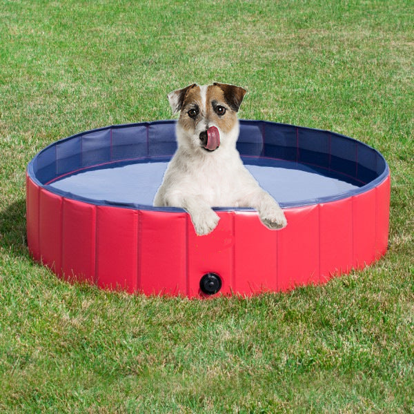 Dog lying in a red and blue inflatable pool on grass