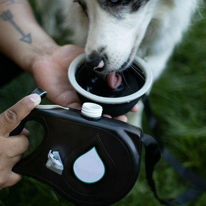 3-in-1 Retractable Dog Leash with Built-in Water Bottle | Portable Hands-Free Dog Walking Belt for Hiking, Running, and Jogging