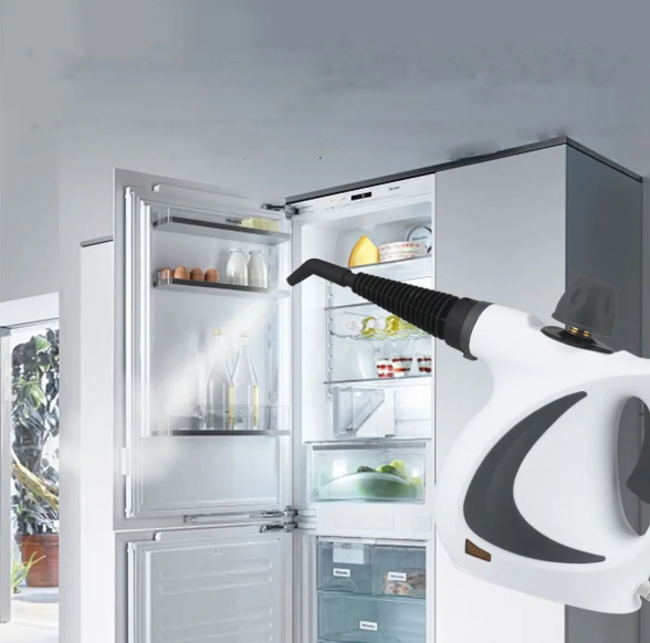 Handheld Multi-Surface Steam Cleaner